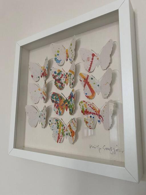 Studio Papillon En Plein Coeur De Ville Saint-Omer  Dış mekan fotoğraf